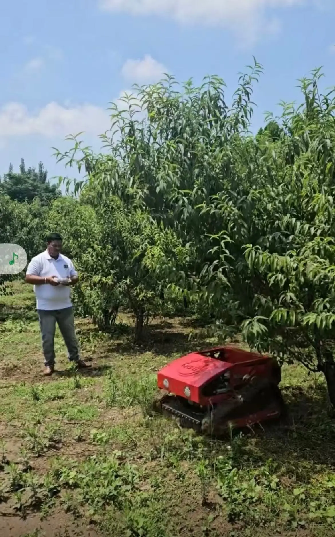 Trimmora Remote-Controlled Lawn Mower Customer Case Study